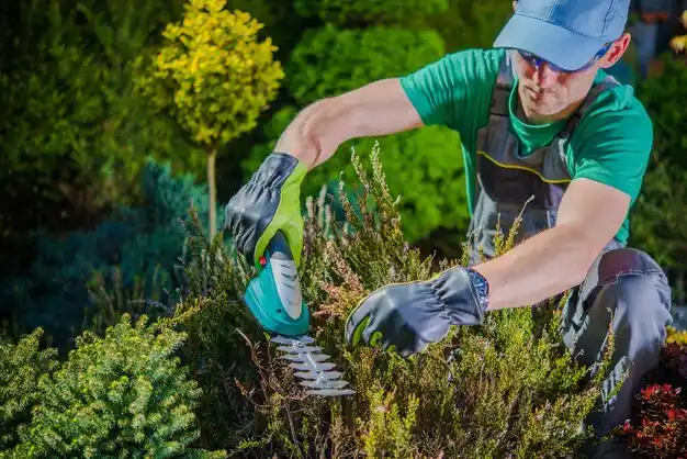 landscaping services Lynch